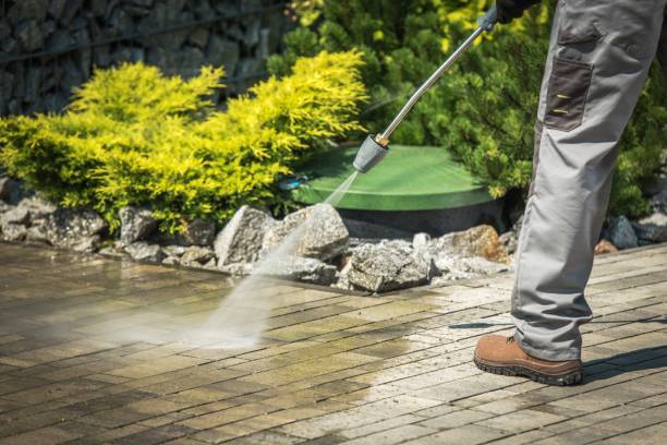 Best Roof Cleaning and Mildew Removal in Mequon, WI