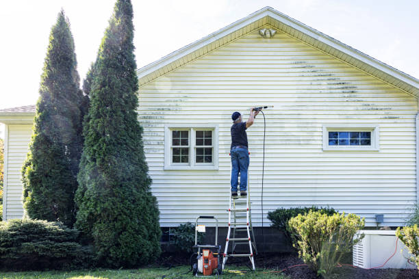 Best Window and Screen Pressure Cleaning in Mequon, WI